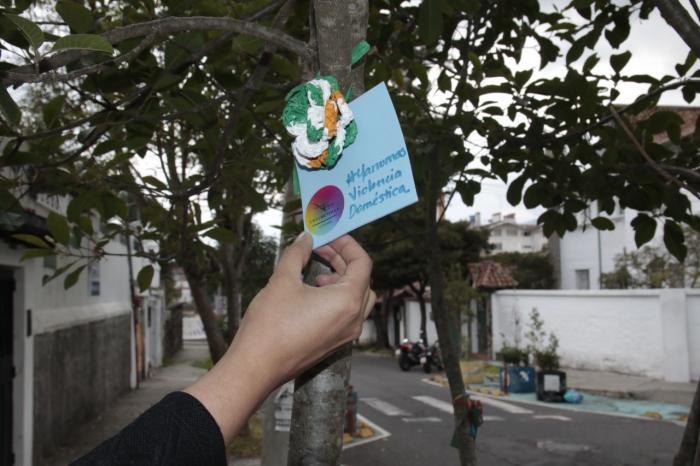 campañas en la floresta