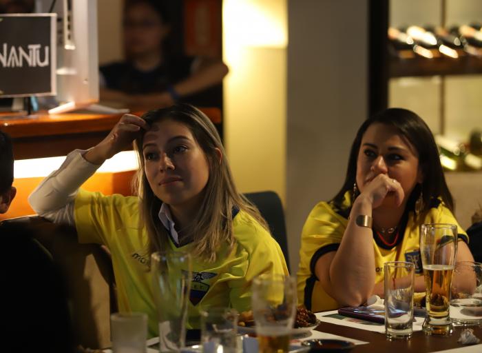 HInchas Ecuador Mundial 2022