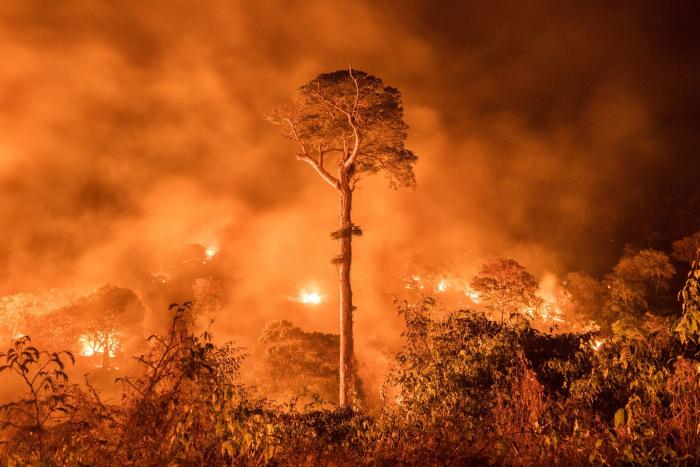 incendio forestal