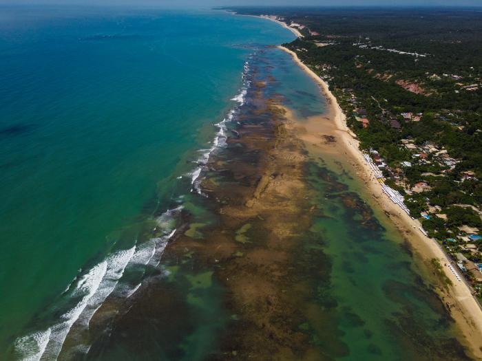 Brasil paraíso de coral