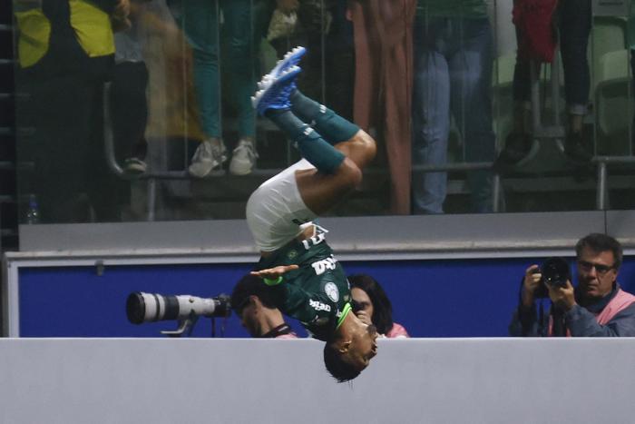 Palmeiras