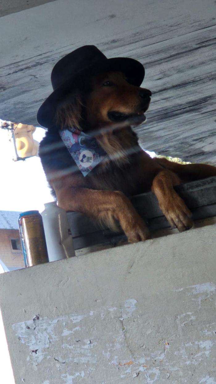 Tommy