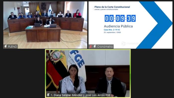 AUDIENCIA CORTE CONSTITUCIONAL