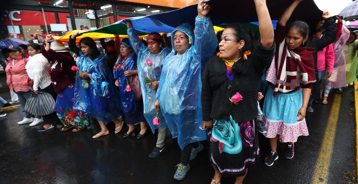 manifestantes indigenas