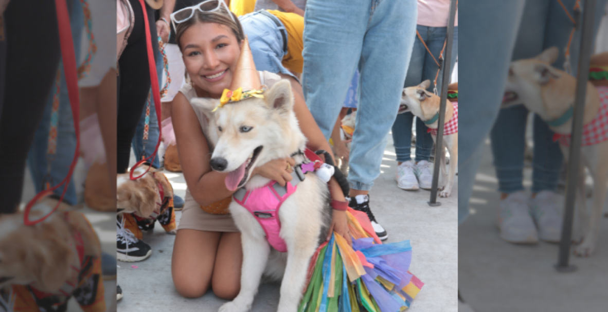 Desfile canino McDonald's vía a la Costa, Guayaquil