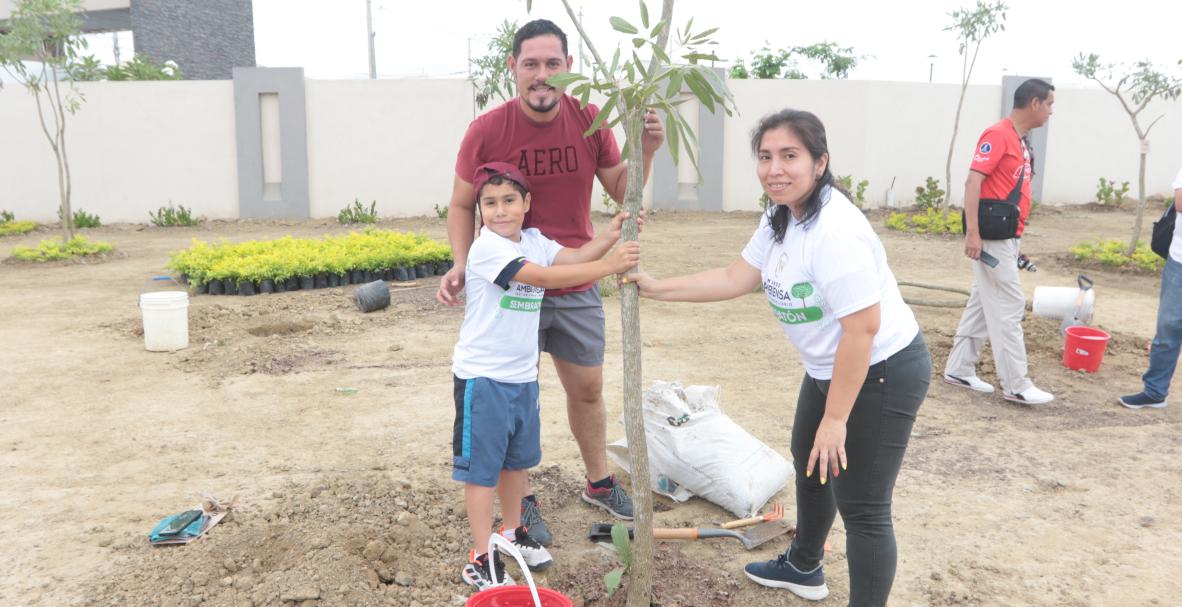 Mundo Ambiensa, Sembratón