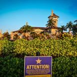 Mar a Lago Donald Trump