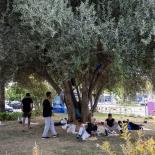 Mundo, Europa, España, Migración, Salud