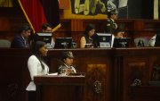 Diana Salazar, fiscal general, reapareció en la Asamblea y en redes dijeron que "viene recargada".