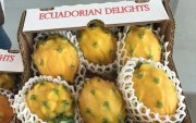 Ecuador publicita en feria sus frutas como la pitahaya.