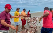 Trabajadores al pie del mar muestran la red dañada y llena de las jaibas.