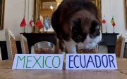 Momento exacto en el que Nimbus se acerca al recipiente de Ecuador y desata la euforia de sus seguidores