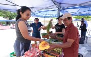 Comercialización. Oferta de frutas, verduras y alimentos procesados se exhiben ferias agroecológicas.