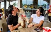Cafeterías, restaurantes y comercios amplían sus espacios para recibir a las mascotas.