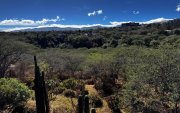 El parque Los Algarrobos es un bosque seco nativo que resiste al crecimiento habitacional del Valle de Tumbaco.