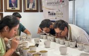 Expertos analizan cafés de especialidades de Ecuador, en el concurso de la Taza Dorada.