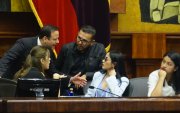 Acuerdo. Valentina Centeno (ADN), Jorge Acaiturri (PSC) y los correístas Blasco Luna, Viviana Veloz y Victoria Desintonio: a favor de una ley que odian.