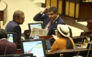 96 de los 137 asambleístas buscarán la reelección en 2025.