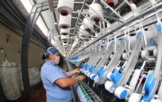 El año pasado, 384 emisores fueron en busca de financiamiento, 80 de ellos fueron Pymes.