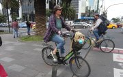 Muchas personas en Quito usan bicicleta porque es un transporte rápido, económico y sostenible.
