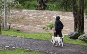 El río Yanuncay se mantiene en alerta debido a su alto caudal.