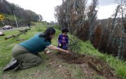 Voluntarios. Daniela Altamirano y su hijo participaron en las jornadas de reforestación.