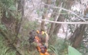 El cuerpo sin vida de una mujer fue recuperado del río Tarqui.