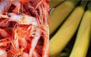Los camarones y bananos que son productos estrellas de las exportaciones de Ecuador.