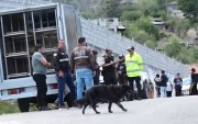Un hombre fue llamado a juicio como sospechoso del femicidio de su expareja ocurrido en el cantón Gualaceo, provincia de Azuay.