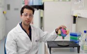 Descubren un nanocuerpo capaz de neutralizar los virus mortales de Hendra y Nipah