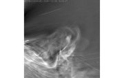 Real. Fotografía muestra el viento solar saliendo de la atmósfera exterior del Sol, la corona.