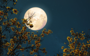 Referencial. Ecuador será testigo de la Luna llena del Esturión.