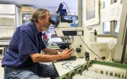 Una novedosa investigación sobre los efectos de la pandemia concluye que las niñas y niños de 5 años que contrajeron el virus de la covid-19.