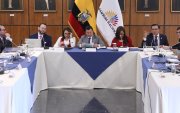 Gonzalo Albán, vocal del Consejo de Participación, enfrentó al asambleísta oficialista, Keevin Gallardo, en el juicio político que el legislador planteó.