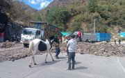 Decenas de camiones y vehículos permanecieron varias horas en la vía Cuenca- Molleturno- El Empalme por el paro nacional.