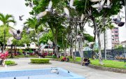Un arquitecto propone convertir el parque en un espacio regulado y seguro donde vecinos y empresas puedan contactar mano de obra calificada.