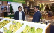 Esta iniciativa fue presentada durante la convención "Banana Time 2025", que se realizó esta semana en Guayaquil.