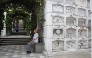 Visita. En Guayaquil, cada rincón del Cementerio Patrimonial de Guayaquil es diverso; en algunas zonas se observan plantas nativas.