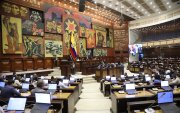 La actual Asamblea Nacional está compuesta por 151 legisladores; el presidente Daniel Noboa propuso que se reduzca a 73.