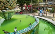 El agua acumulada en la pileta del Parque Central de Milagro representa un peligro para la salud pública por la posible generación de enfermedades.