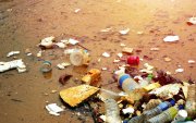 Provincias como Guayas, Manabí, Esmeraldas y El Oro concentran hotspots críticos donde el plástico amenaza especies, pesca artesanal y economías locales.