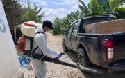 Los controles se mantienen estrictos en el sector El Quemado, donde se detectó el hongo del Fusarium.