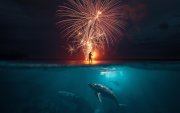 Representación del uso de fuegos artificiales y la vida marina.