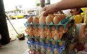 Gallinas. Desde octubre a diciembre ha habido una sobreoferta de huevos, lo que redujo el precio del producto.