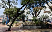 En varios sitios turístico de Ecuador hay una disminución de turistas extranjeros; desde la pandemia, la cifra de visitantes que gozaba el país no se ha recuperado.