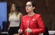 Propuesta. 14 asambleístas entregaron su firma de respaldo al proyecto de Camila León (ADN).