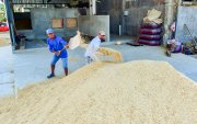 El arroz es uno de los productos afectados por los aranceles impuestos por Colombia.
