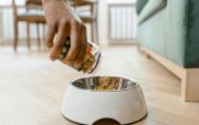 La comida de animales incrementó de precio entre finales de enero y principios de febrero.