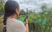 Con una aplicación se puede documentar la flora y fauna de los Hábitats Ecológicos Urbanos en el Parque Bicentenario.