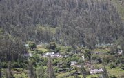 Se levantan edificaciones en áreas de protección ecológica, sin autorización o con fraccionamientos irregulares de terrenos que no respetan los lotes mínimos.